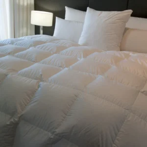 Comforters X LG
