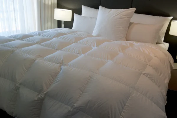Comforters X LG